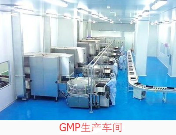 GMP净化车间 GMP净化车间
