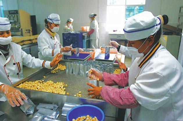 干果加工生产车间风淋室 干果加工生产车间风淋室